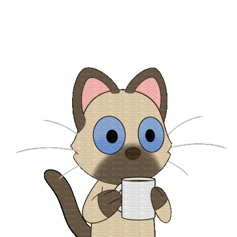 Gatito tomando café